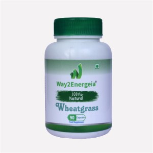 Wheat Grass